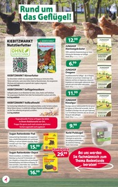 Steine im Kiebitzmarkt Prospekt in Seevetal Aktueller Kiebitzmarkt Prospekt mit Steine, "Schöne Herbstzeit", Seite 8