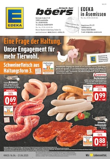 Aktueller EDEKA Prospekt "Aktuelle Angebote" für Leopoldshöhe Aktueller EDEKA Prospekt für Leopoldshöhe mit Seiten