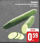 Salatgurke im aktuellen Prospekt bei EDEKA in Crinitzberg