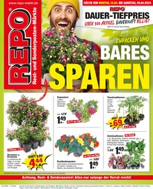 Gartenbepflanzung im Repo Prospekt "Aktuelle Angebote" mit 16 Seiten (Rostock)