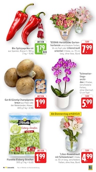 Salat im aktuellen EDEKA Prospekt (Frankfurt (Main)) Salat im EDEKA Prospekt "Aktuelle Angebote" mit 42 Seiten (Frankfurt (Main))