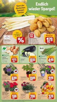 Pflanzen im REWE Prospekt "Dein Markt" mit 29 Seiten (Braunschweig)