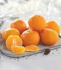 Promo MANDARINE à 2,99 € dans le catalogue Intermarché à Paimpol