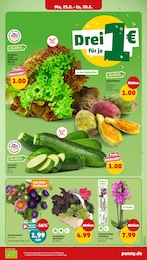 Korb Angebot im aktuellen Penny Prospekt auf Seite 3