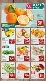 Ähnliche Obstbaum Angebote im Prospekt "nichts liegt näher" von nahkauf in Solingen Ähnliche Angebote wie Obstbaum im Prospekt "nichts liegt näher" auf Seite 3 von nahkauf in Solingen