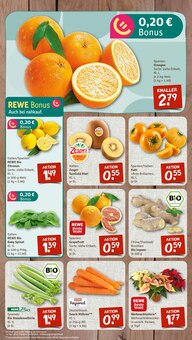 Obst im aktuellen nahkauf Prospekt (Wuppertal) Obst im nahkauf Prospekt "nichts liegt näher" mit 8 Seiten (Wuppertal)