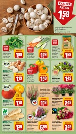 Aktueller REWE Prospekt mit Blumenerde, "Dein Markt", Seite 13