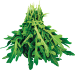 Rucola von GO Regio für 0,79 € bei Netto mit dem Scottie im Angebot Rucola von GO Regio im aktuellen Netto mit dem Scottie Prospekt