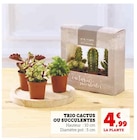 Trio Cactus ou Succulentes - Super U à Bourges Trio Cactus ou Succulentes en promo chez Super U Bourges à 4,99 €