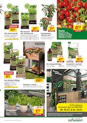 Lebensmittel im toom Baumarkt Prospekt in Leinfelden-Echterdingen Aktueller toom Baumarkt Prospekt mit Lebensmittel, "Respekt, wer's selber macht.", Seite 15