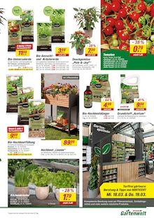 Pflanzen im toom Baumarkt Prospekt "Respekt, wer's selber macht." mit 20 Seiten (Stuttgart)