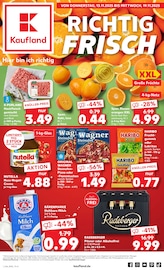 Aktueller Kaufland Supermarkt Prospekt in Eggenstein-Leopoldshafen und Umgebung, "Aktuelle Angebote" mit 62 Seiten, 13.11.2025 - 19.11.2025