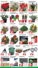 Steine im Wreesmann Prospekt in Cuxhaven Aktueller Wreesmann Prospekt mit Steine, "DEIN SAISON- & SONDERPOSTENMARKT!", Seite 7
