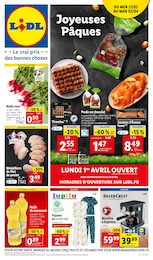 Catalogue Supermarchés Lidl en cours à Toulouse et alentours, Joyeuses Pâques, 50 pages, 27/03/2024 - 02/04/2024