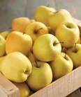 Intermarché Amilly - Promo POMME Promo POMME à 1,49 € dans le catalogue Intermarché à Amilly