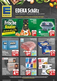 EDEKA Prospekt "Wir lieben Lebensmittel!", 29 Seiten, 03.11.2025 - 03.11.2025 Aktueller EDEKA Prospekt, "Wir lieben Lebensmittel!", mit Angeboten der Woche, gültig von 03.11.2025 bis 03.11.2025