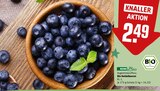 Bio Heidelbeeren Angebote von REWE Bio bei REWE Ingolstadt für 2,49 €