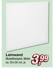 Leinwand für 3,99 € bei KiK im Angebot Leinwand im aktuellen KiK Prospekt