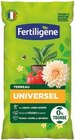 Terreau universel sans tourbe - FERTLIGÈNE en promo chez Castorama Cannes à 8,60 €
