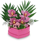 Orchideengesteck in Herzbox  im aktuellen Netto Marken-Discount Prospekt für 14,99 €