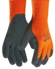 Handschuhe Wintergrip für 4,99 € bei Netto mit dem Scottie im Angebot Handschuhe Wintergrip im aktuellen Netto mit dem Scottie Prospekt
