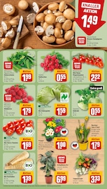 Aktueller REWE Prospekt mit Tomaten, "Dein Markt", Seite 7