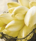 Promo ENDIVE à 1,89 € dans le catalogue Intermarché à Saint-Georges-Nigremont