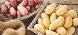 Promo Pommes de terre de consommation à chair ferme à 1,59 € dans le catalogue Intermarché à La Chapelle-Saint-Mesmin