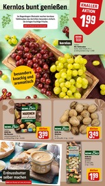 Ähnliche Gänsebrust Angebote im Prospekt "Dein Markt" von REWE in Herne Ähnliche Angebote wie Gänsebrust im Prospekt "Dein Markt" auf Seite 8 von REWE in Herne
