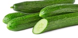 Bio-Gurke Angebot in Pistre Bio-Gurke im aktuellen Prospekt bei Penny in Pistre