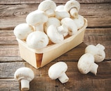 Champignon Blanc à Netto dans Avrillé