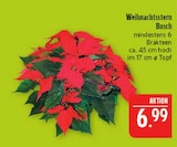 Weihnachtsstern Busch Angebote bei Marktkauf Leipzig für 6,99 €