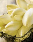 Promo Endive à 1,89 € dans le catalogue Intermarché Express à La Verrière
