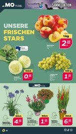 Aktueller Netto mit dem Scottie Prospekt mit Weintrauben, "Günstig. Besser. Für Dich.", Seite 2