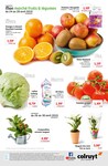 Fruits Et Légumes Fruits Et Légumes