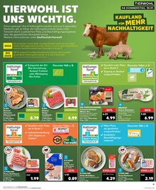 Rindfleisch im Kaufland Prospekt "KNÜLLER" mit 32 Seiten (Potsdam)