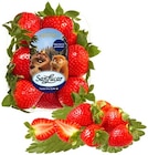 Erdbeeren Angebote von SanLucar bei REWE Ludwigsburg für 3,49 €