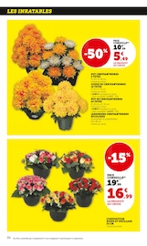 Chrysanthèmes Angebote im Prospekt "Super U" von Super U auf Seite 30