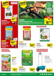 Aktueller Hagebaumarkt Prospekt mit Gartenerde, "So günstig geht das!", Seite 5