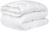 Penny Berthelsdorf - Steppbett oder Kopfkissen Angebot im Prospekt Steppbett oder Kopfkissen bei Penny im Berthelsdorf Prospekt für 19,99 €