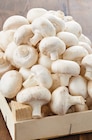 Netto Narbonne - Promo Champignon blanc de Paris Promo Champignon blanc de Paris à 1,79 € dans le catalogue Netto à Narbonne