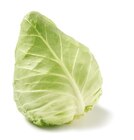 Spitzkohl von GO Regio für 1,19 € bei Netto mit dem Scottie im Angebot Spitzkohl von GO Regio im aktuellen Netto mit dem Scottie Prospekt