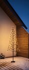 LED-Baum im Lidl Prospekt LED-Baum von LIVARNO im aktuellen Lidl Prospekt für 14,99 €