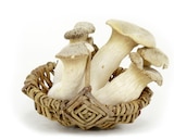 EDEKA Ulmen - Bio Shiitake Angebot im Prospekt Bio Shiitake bei EDEKA im Ulmen Prospekt für