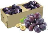 REWE Buttenwiesen - Zwetschgen Angebot im Prospekt Zwetschgen bei REWE im Buttenwiesen Prospekt für 2,99 €
