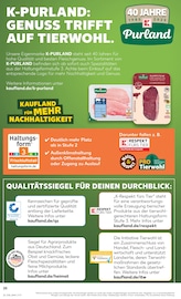 Aktueller Kaufland Prospekt mit Schweinefleisch, "Aktuelle Angebote", Seite 20