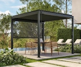 Pergola Classic 111 Angebote bei Gebrüder Hamm GmbH & Co. KG Rüsselsheim für 319,00 €