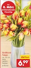 Aktuelles Großbund Tulpen Angebot bei Netto Marken-Discount in Regensburg ab 6,99 €