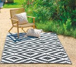 Outdoorteppich  im aktuellen Netto mit dem Scottie Prospekt für 8,99 €