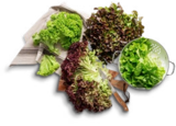Lollo Mix für 0,79 € bei Kaufland im Angebot Lollo Mix im aktuellen Kaufland Prospekt